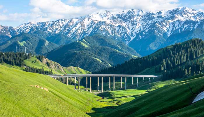 春风不度玉门关是谁的诗句 春风不度玉门关是谁的诗句王之涣