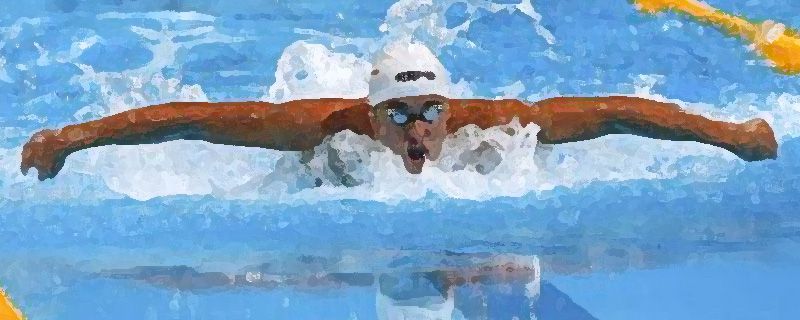 蝶泳2.jpg