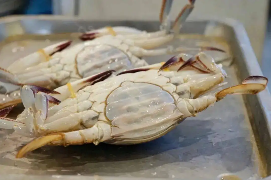 梭子蟹买多大的合适