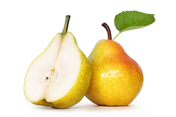 梨的图片2.jpg