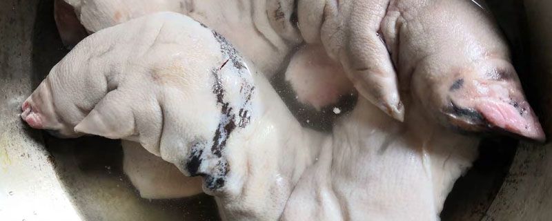 猪蹄.jpg