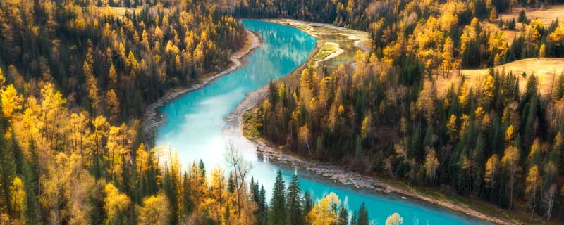 春风不度玉门关是谁的诗句 春风不度玉门关是谁的诗句王之涣