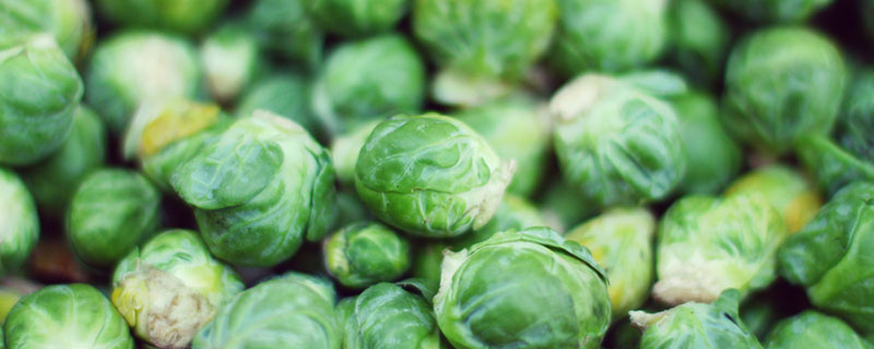 撇了菜是什么菜 撇了菜是什么