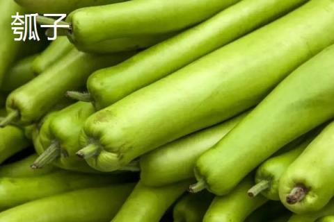 瓠子和西葫芦的区别