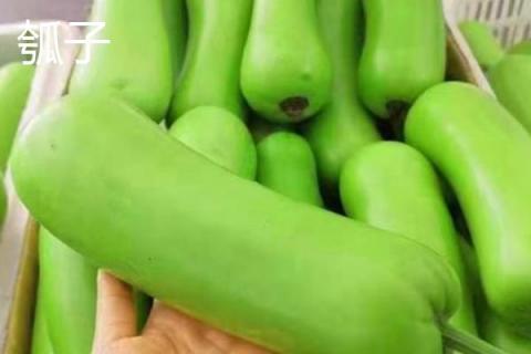 瓠子和西葫芦的区别