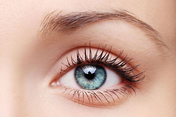 睫毛1.jpg