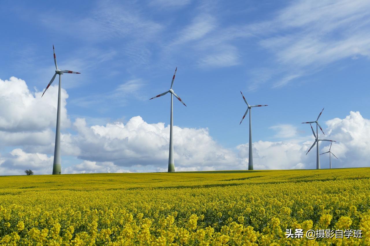 专业摄影师拍秋景的8个技巧,自学班用大白话讲解,新手也能学会