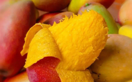 贵妃芒青色的会不会熟