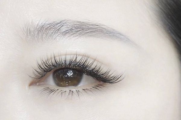 睫毛.jpg
