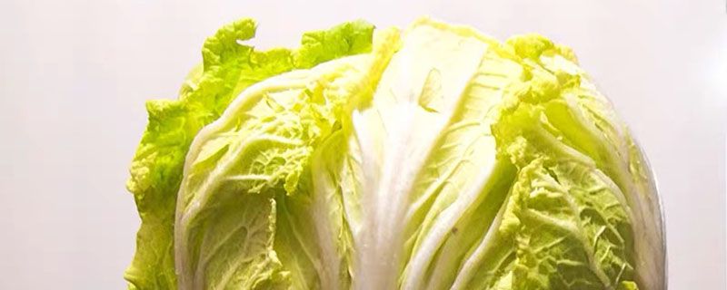 白菜.jpg