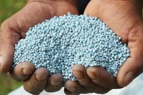 钾肥的作用及功能