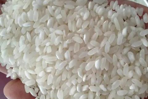 大米有哪些种类