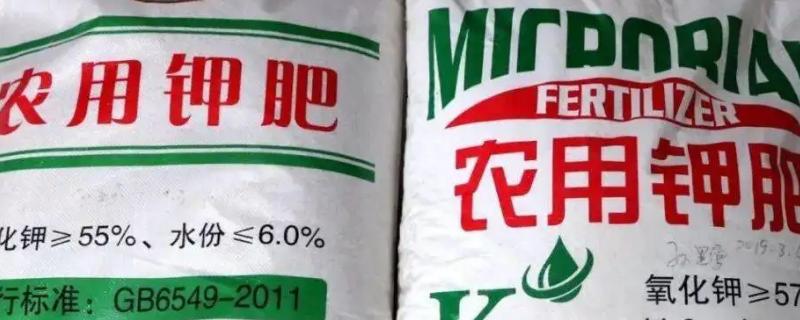 钾肥的作用及功能