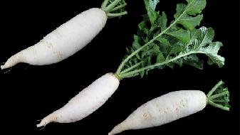 常喝水会有什么好处 患有这些疾病多喝热水大有好处