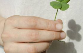赞美老师的名人名言！（赞扬教师的优美诗词）