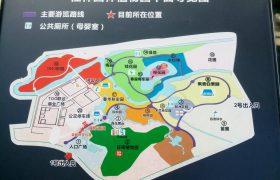 园林植物园（桂林园林植物园，迷失方向）