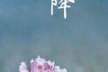 霜降的诗句（十三首霜降诗词）