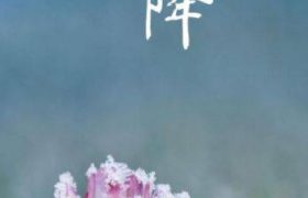 霜降的诗句（十三首霜降诗词）