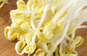 在家用绿豆怎么让它发芽呢