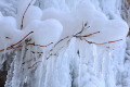 哈尔滨冰雪大世界离哪个火车站近