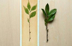 人生的感悟（人生感悟经典语录）