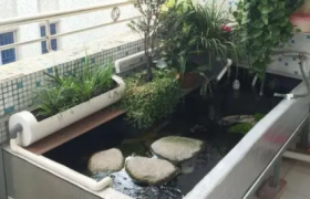 鱼缸放阳台上好不好