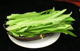 油麦菜和什么不能一起吃 油麦菜和什么搭配好