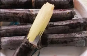 春节卖甘蔗赚钱吗