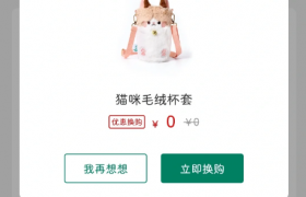 一点点猫咪毛绒保温杯套哪些城市有