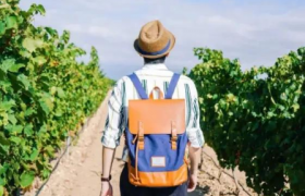 2022年十一国庆学生可以出省旅游吗