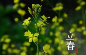 躲春可以躲被子里吗