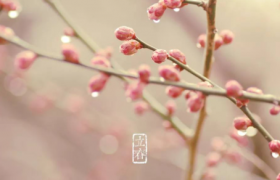 2023年双春是什么时候