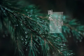 2022年雨水前一天是绝日吗