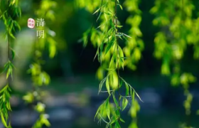 2022年清明节上坟属虎的能去不