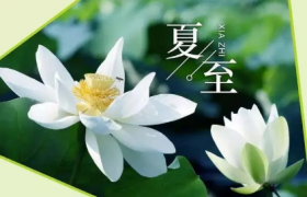 2022夏至就是暑伏的第一天吗