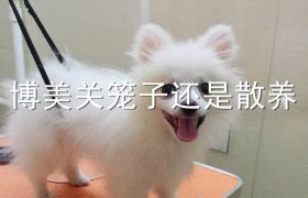 博美关笼子还是散养