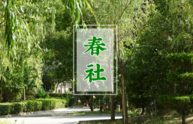 2022新坟拦社日是春分后一天吗