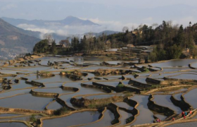 2022云南三四月份是旅游的季节吗