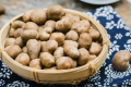 山药豆和山药哪个好