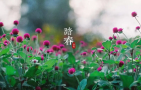 2022清明节和复活节是同一天吗
