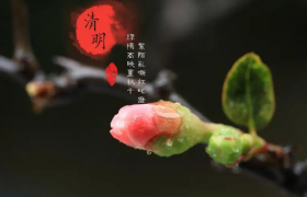 2022清明节气温大概多少度
