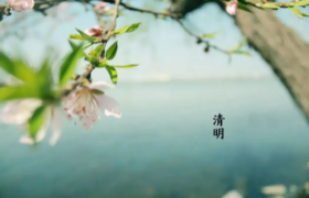 2022清明节哪些生肖不能去上坟