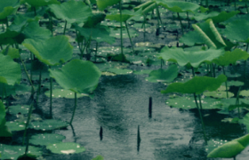舟山梅雨季节是什么时间2022