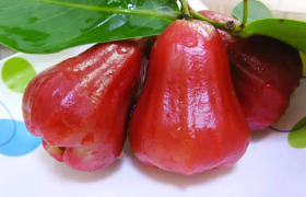 莲雾和无花果可以一起吃吗