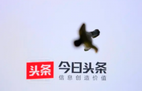 今日头条极速版一天只能邀请一个人吗