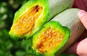 羊角蜜怎么吃