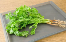 吃香菜会增加黑色素吗