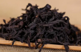 大红袍属于什么茶