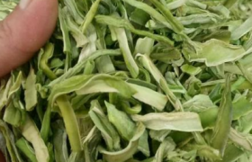 贡菜是不是莴笋