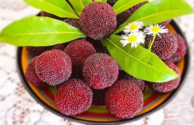 杨梅核是否能吃